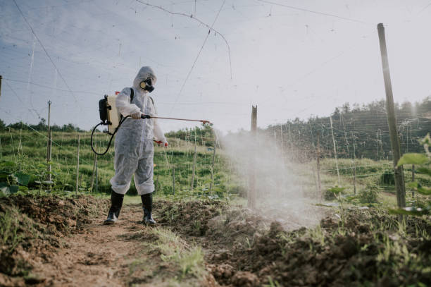 Best Commercial Pest Control Services  in Pineville, NC
