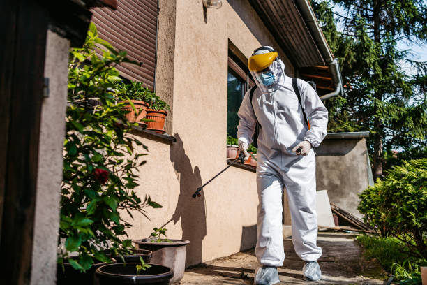 Best Mosquito Control Services  in Pineville, NC