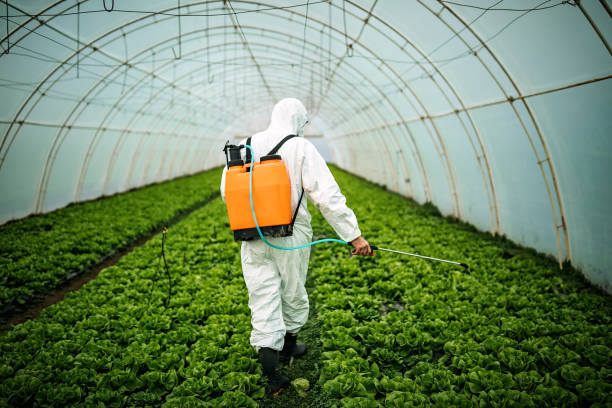 Professional Pest Control in Pineville, NC