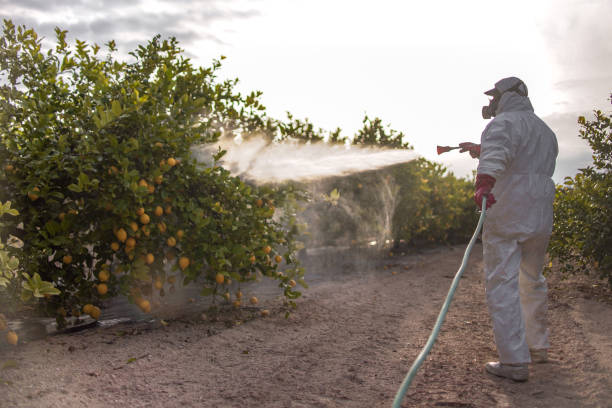 Best Best Pest Control Near Me  in Pineville, NC