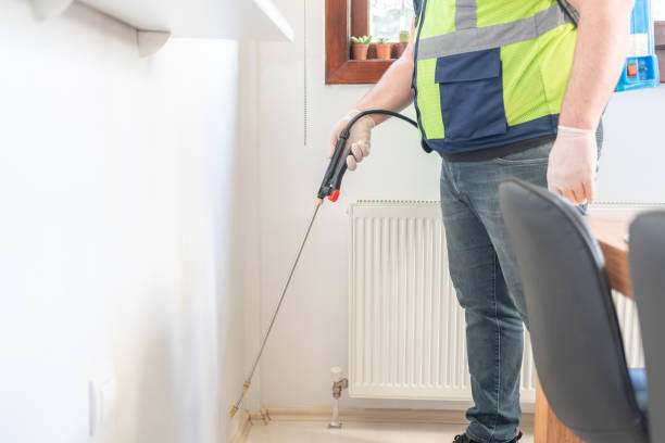 Best Flea Control Services  in Pineville, NC