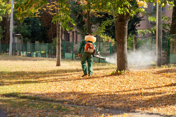 Best Pest Prevention Services  in Pineville, NC