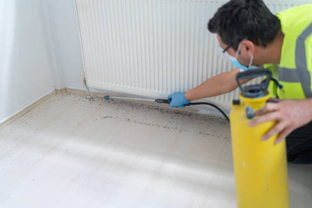 Best Cockroach Control Services  in Pineville, NC