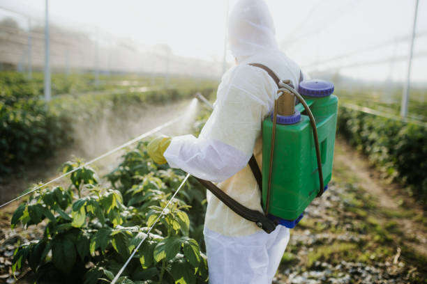 Best Pest Control Near Me in Pineville, NC